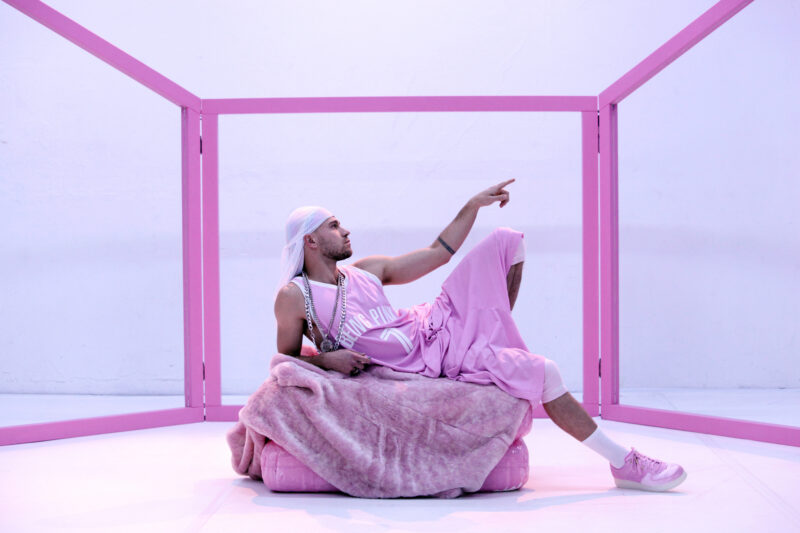 Being Pink Ain’t Easy
Joana Tischkau